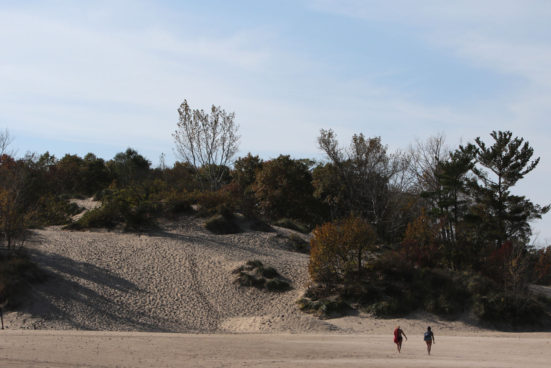 Indiana Dunes National Lakeshore